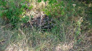 Урочище Горный. Август 2022 года