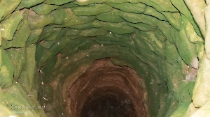 Урочище Горный. Август 2022 года