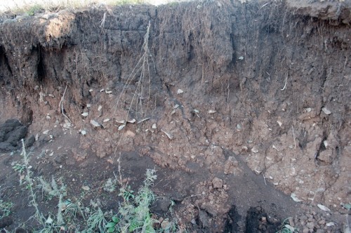 Остатки раскопа на поселении Горный-1