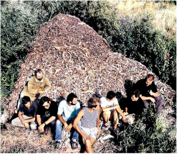 Рис. 6. Селище Горный. Этот «холм» содержит более 2,5 миллионов костей домашних животных. Рис. 6. Селище Горный. Этот «холм» содержит более 2,5 миллионов костей домашних животных.