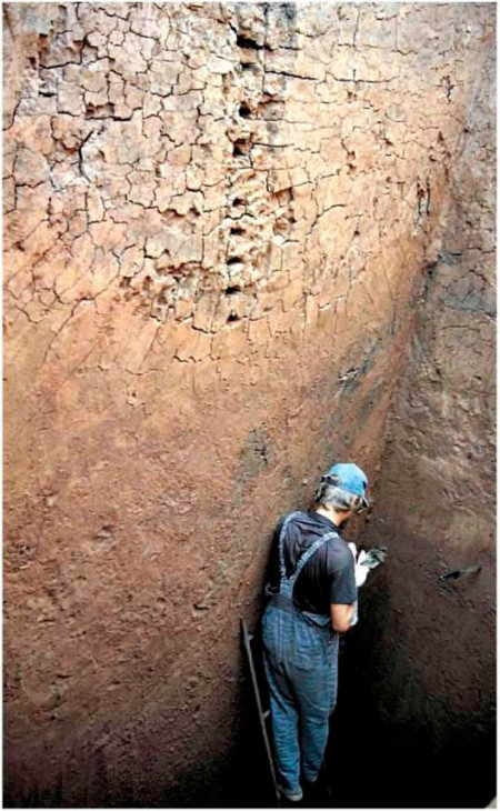 Рис. 8. 2. Отбор проб для палинологического и радиоуглеродного анализов в разрезе карьера. Рис. 8. 2. Отбор проб для палинологического и радиоуглеродного анализов в разрезе карьера.